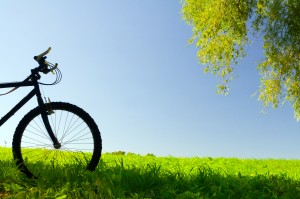 shutterstock_12022945